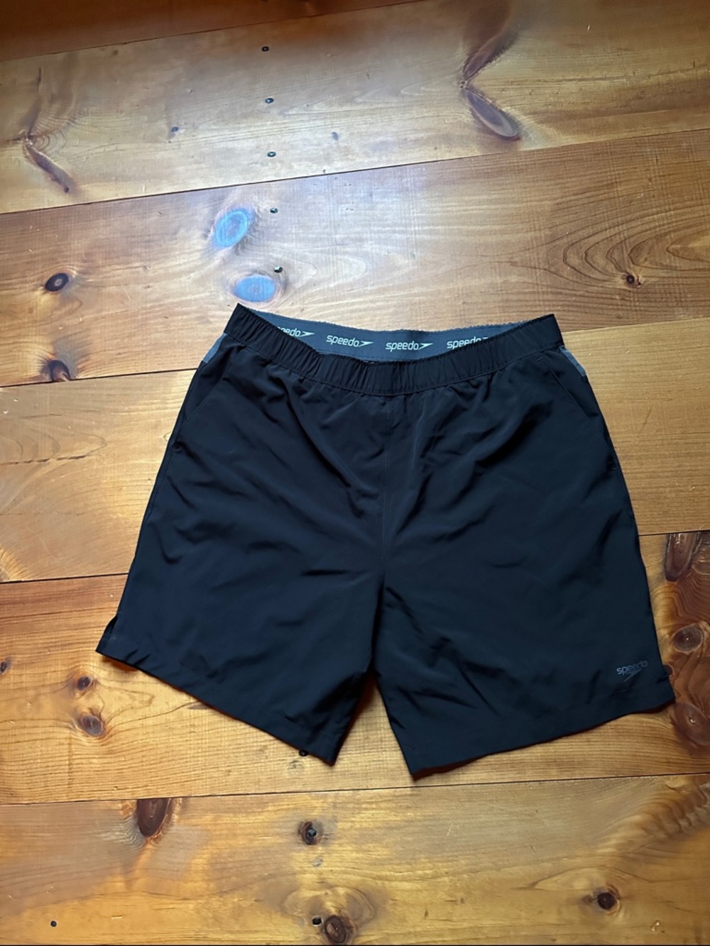 Speedo Black Men's Swim Trunks